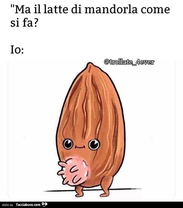 Ma il latte di mandorla come si fa?