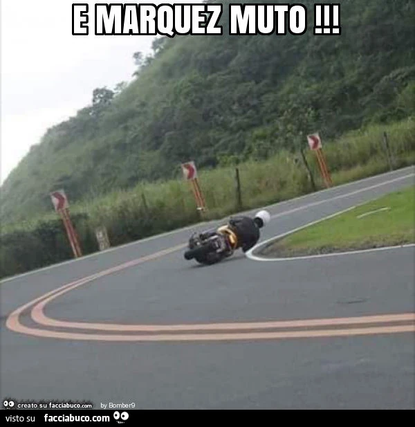 E marquez muto