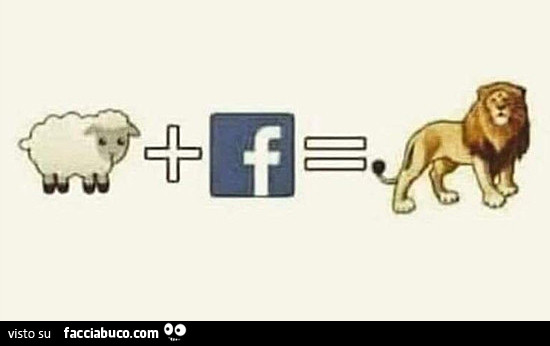 La pecora su facebook diventa un leone