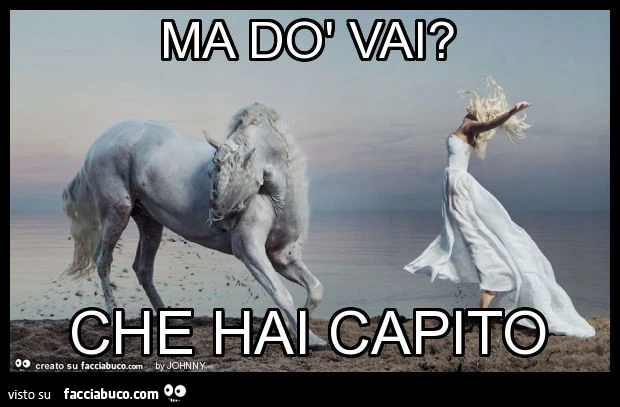 Ma dò vai? Che hai capito