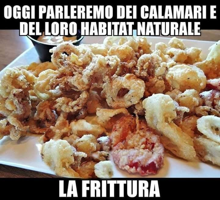 3o1zroju3f-oggi-va-cosi-ho-gia-fame-vaccata_b.jpg