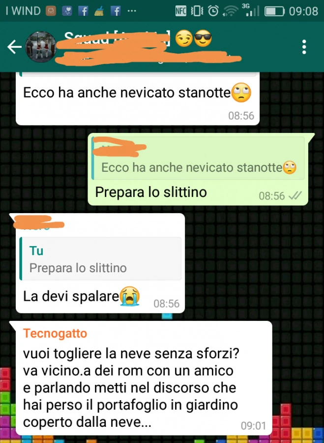 Vaccata