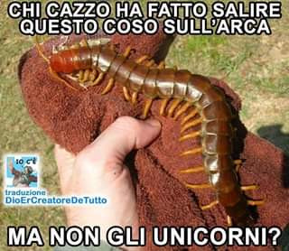 Vaccata