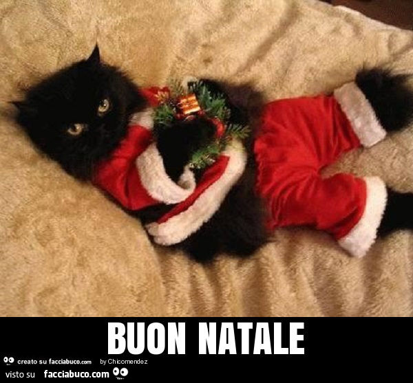 Buon natale