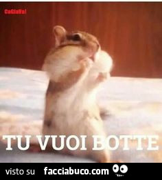 Vaccata