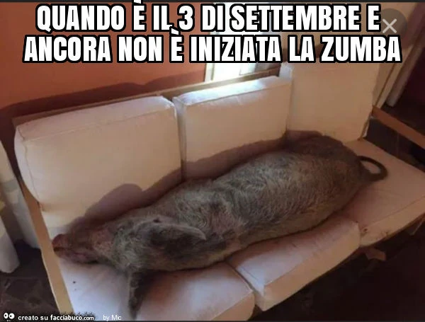 Quando è il 3 di settembre e ancora non è iniziata la zumba