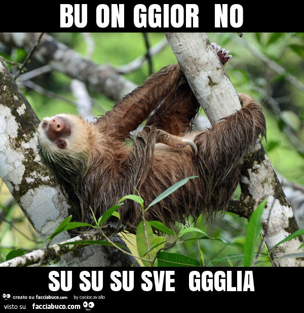 Bu on ggior no su su su sve ggglia