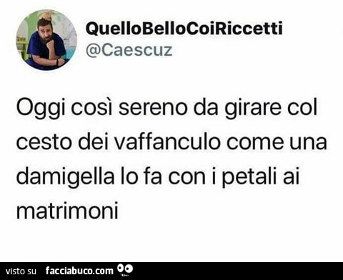 Oggi cosi sereno da girare col cesto dei vaffanculo come una damigella lo fa con i petali ai matrimoni