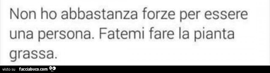 Non ho abbastanza forze per essere una persona. Fatemi fare la pianta grassa