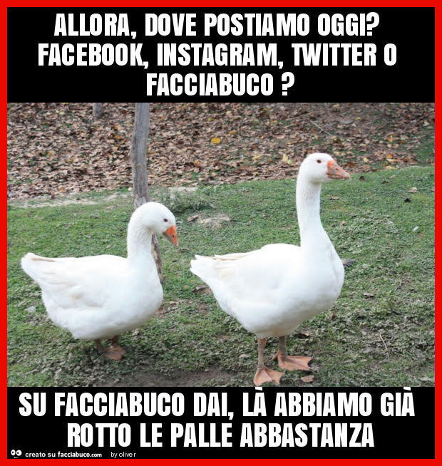 Allora, dove postiamo oggi? Facebook, instagram, twitter o facciabuco? Su facciabuco dai, là abbiamo già rotto le palle abbastanza
