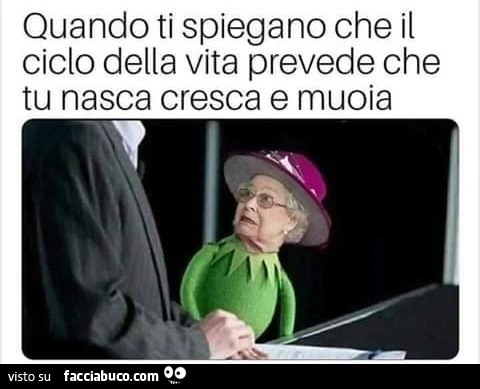 Quando ti spiegano che il ciclo della vita prevede che tu nasca