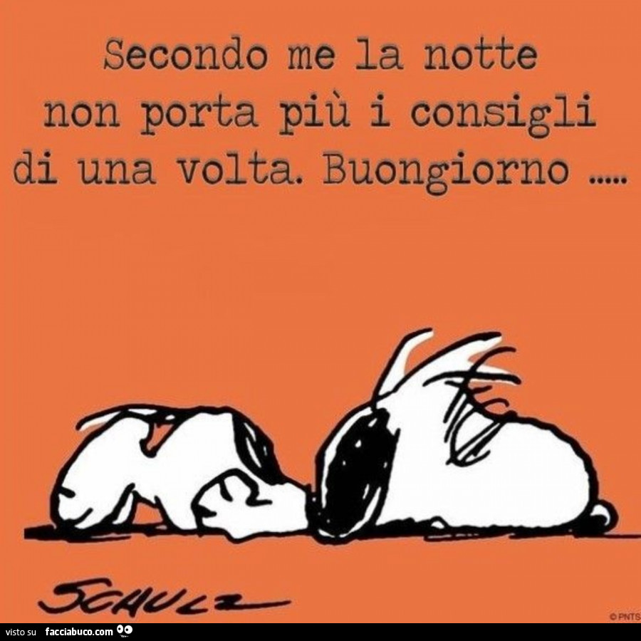 Secondo me la notte non porta più i consigli di una volta. Buongiorno