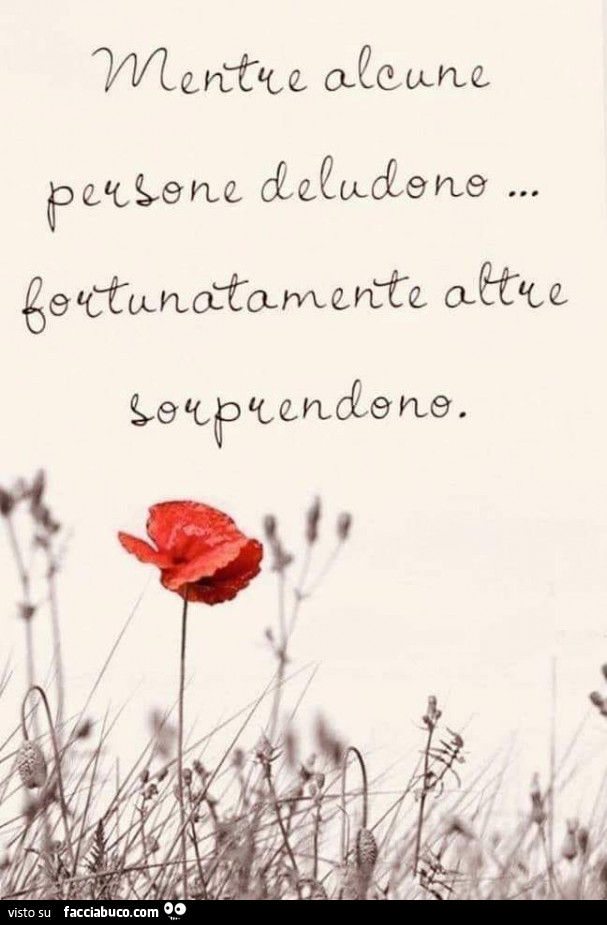 Mentre alcune persone deludono fortunatamente altre sorprendono