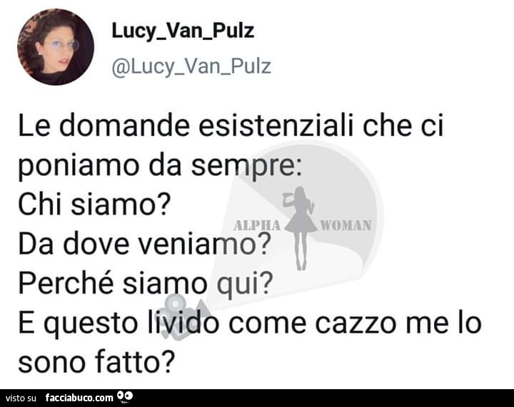 Le domande esistenziali che ci poniamo da sempre: chi siamo? Da dove veniamo? Perché siamo qui? E questo livido come cazzo me lo sono fatto?