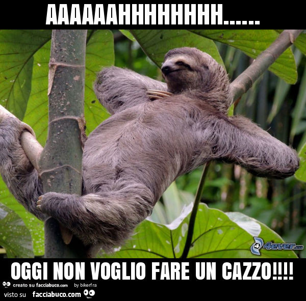 Aaaaaahhhhhhhh… oggi non voglio fare un cazzo