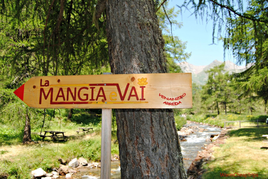 Vaccata