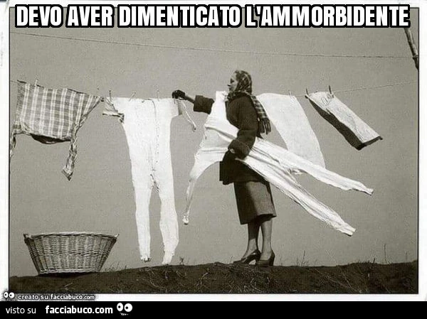 Devo aver dimenticato l'ammorbidente