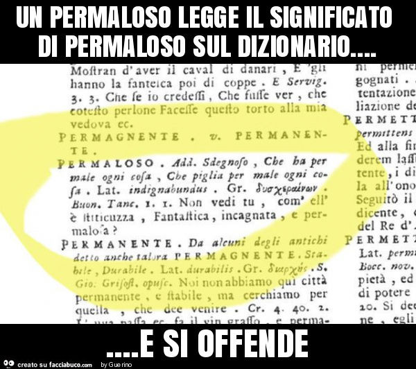 Un permaloso legge il significato di permaloso sul dizionario… e si offende