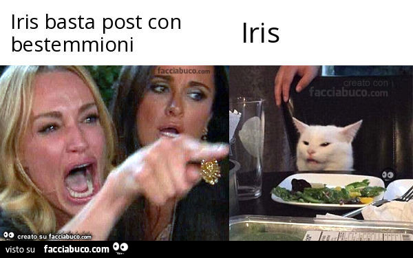 Iris basta post con bestemmioni Iris