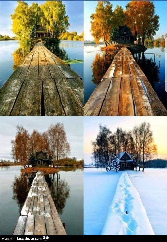 Le 4 stagioni dell'anno fotografate nello stesso posto