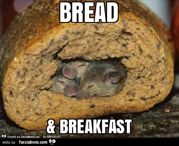 Bread & breakfast