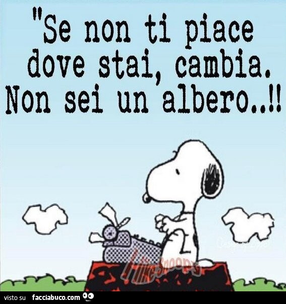 Se non ti piace dove stai, cambia. Non sei un albero
