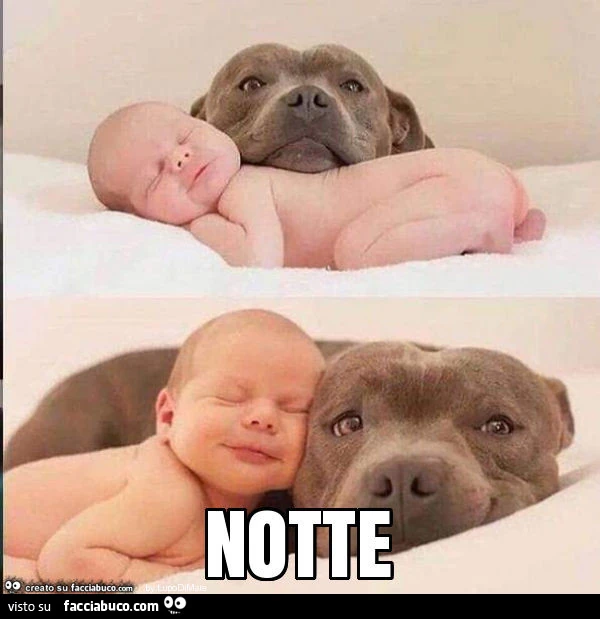Notte