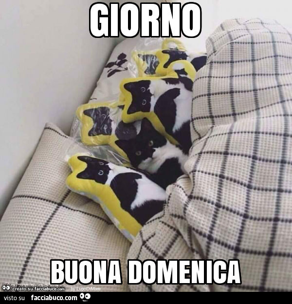 Giorno buona domenica