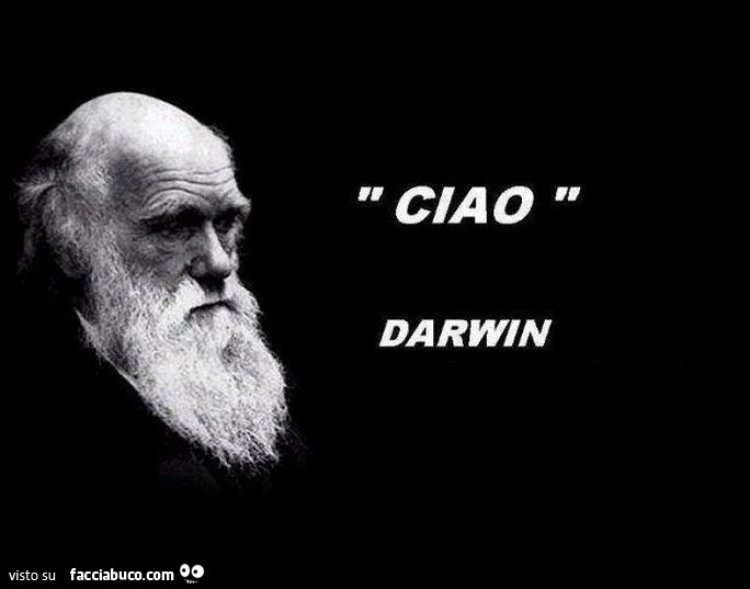 Ciao. Darwin