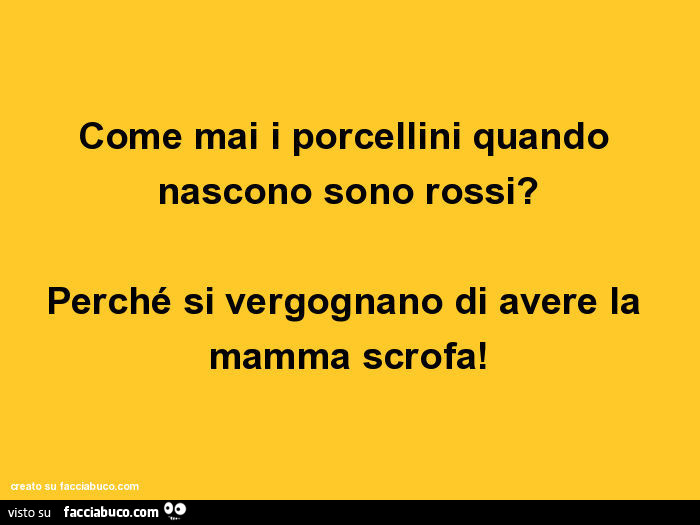 Come mai i porcellini quando nascono sono rossi? Perché si vergognano di avere la mamma scrofa