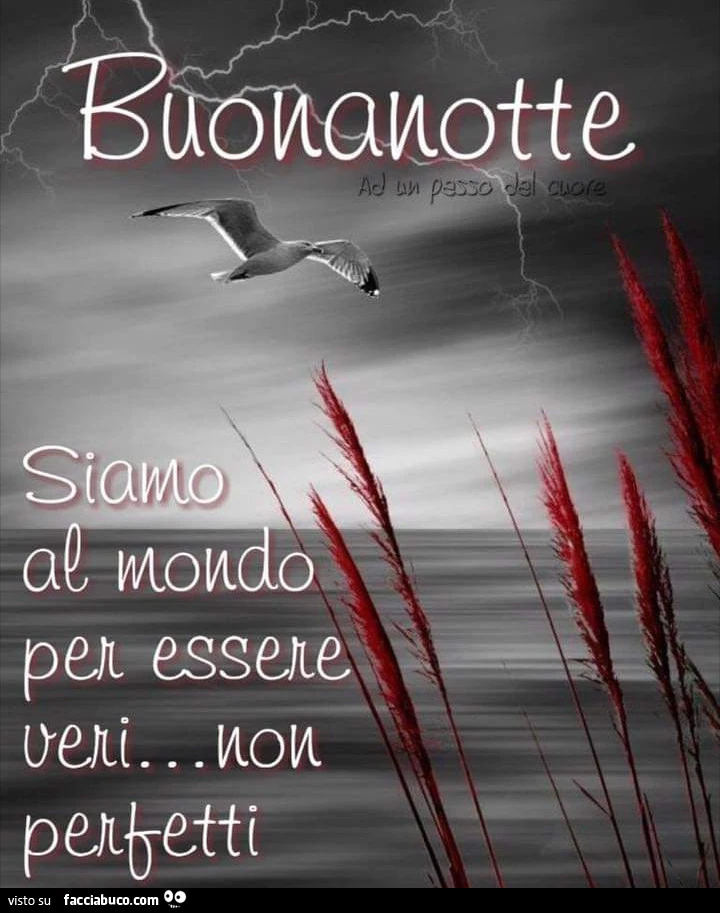 Buonanotte. Siamo al mondo per essere veri&hellip; non perfetti