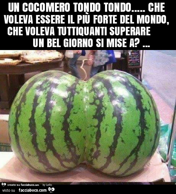 Un cocomero tondo tondo… che voleva essere il più forte del mondo, che voleva tuttiquanti superare un bel giorno si mise a?