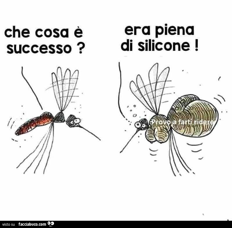 Che cosa è successo? Era piena di silicone