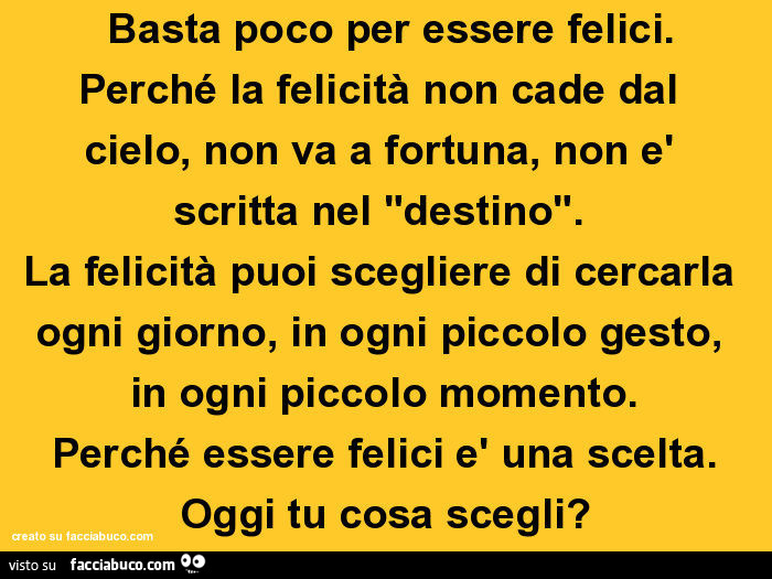 Basta poco per essere felici. Perché la felicità non cade dal cielo, non va a fortuna, non è scritta nel "destino". La felicità puoi scegliere di cercarla ogni giorno, in ogni piccolo gesto, in ogni piccolo momento. Perché essere felici è una sc