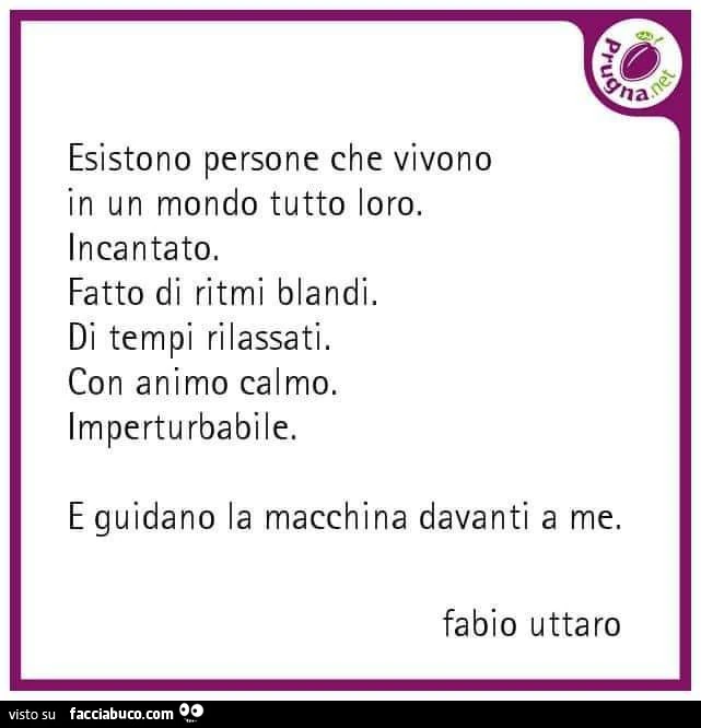 Esistono persone che vivono in un mondo tutto loro. Incantato. Fatto di ritmi blandi. Di tempi rilassati. Con animo calmo. Imperturbabile. E guidano la macchina davanti a me