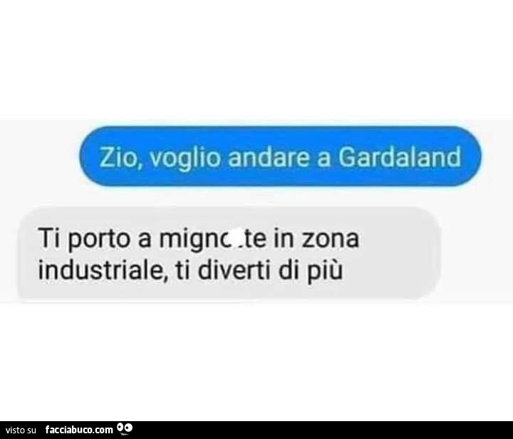 Zio, voglio andare a gardaland. Ti porto a mignotte in zona industriale, ti diverti di più