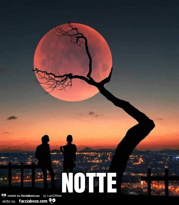 Notte