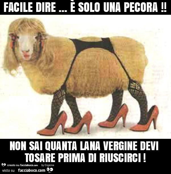 Facile dire… è solo una pecora! Non sai quanta lana vergine devi tosare prima di riuscirci
