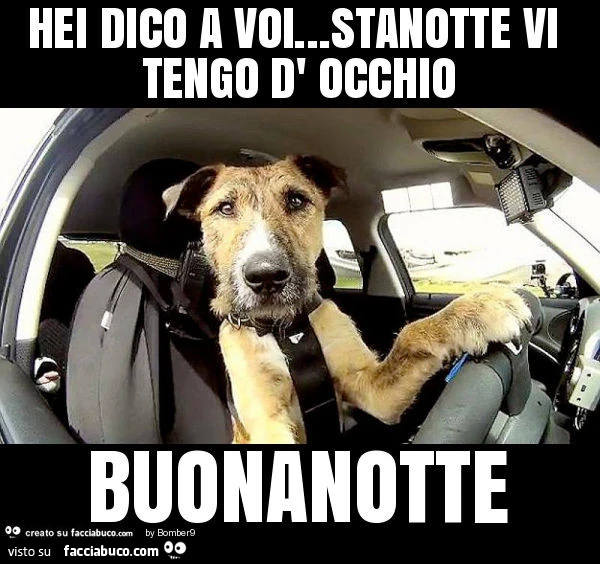 Hei dico a voi&hellip; stanotte vi tengo d' occhio buonanotte
