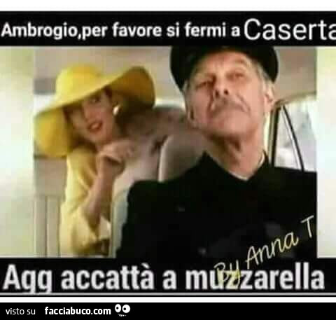 Vaccata