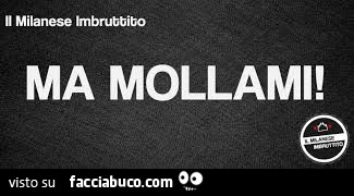 Ma mollami