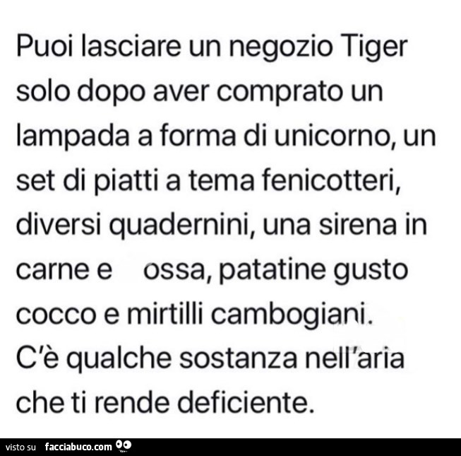 Puoi lasciare un negozio tiger solo dopo aver comprato un lampada a forma di unicorno, un set di piatti a tema fenicotteri, diversi quadernini, una sirena in carnee ossa, patatine gusto cocco e mirtilli cambogiani