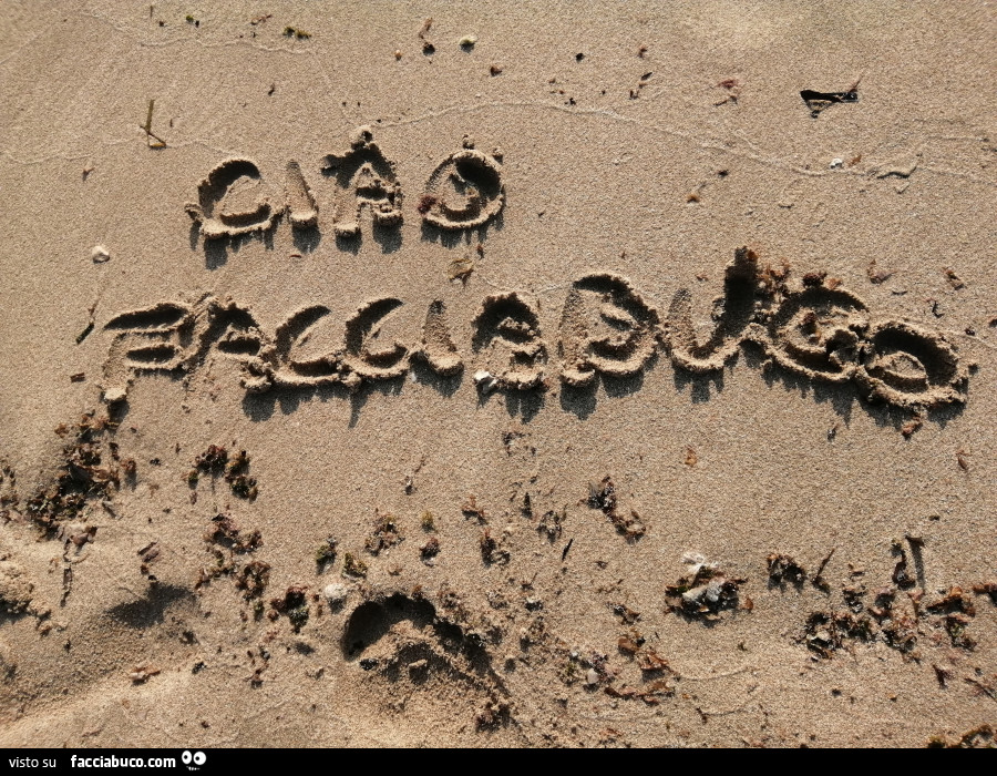 Ciao Facciabuco scritto sulla spiaggia