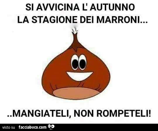 Si avvicina l' autunno la stagione dei marroni… mangiateli, non rompeteli