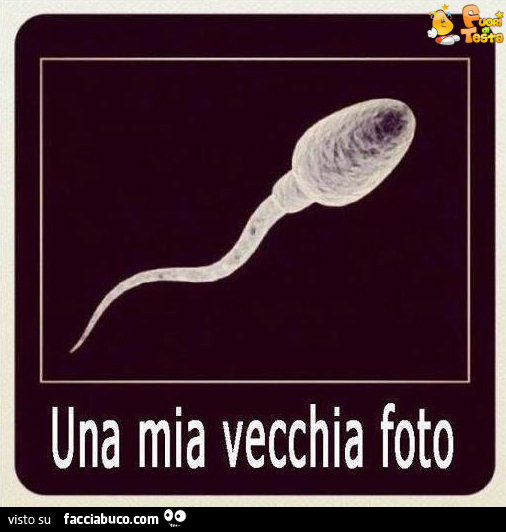 Una mia vecchia foto