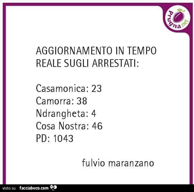 Aggiornamento in tempo reale sugli arrestati: casamonica: 23, camorra: 38, ndrangheta: 4, cosa nostra: 46, pd: 1043