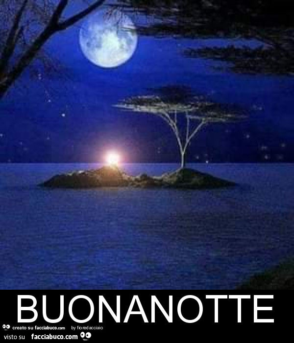 Buonanotte