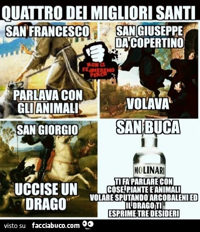 Vaccata