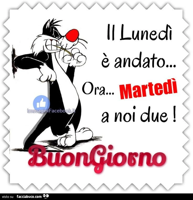 Il lunedì è andato&hellip; ora martedì a noi due. Buongiorno