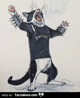 Vaccata